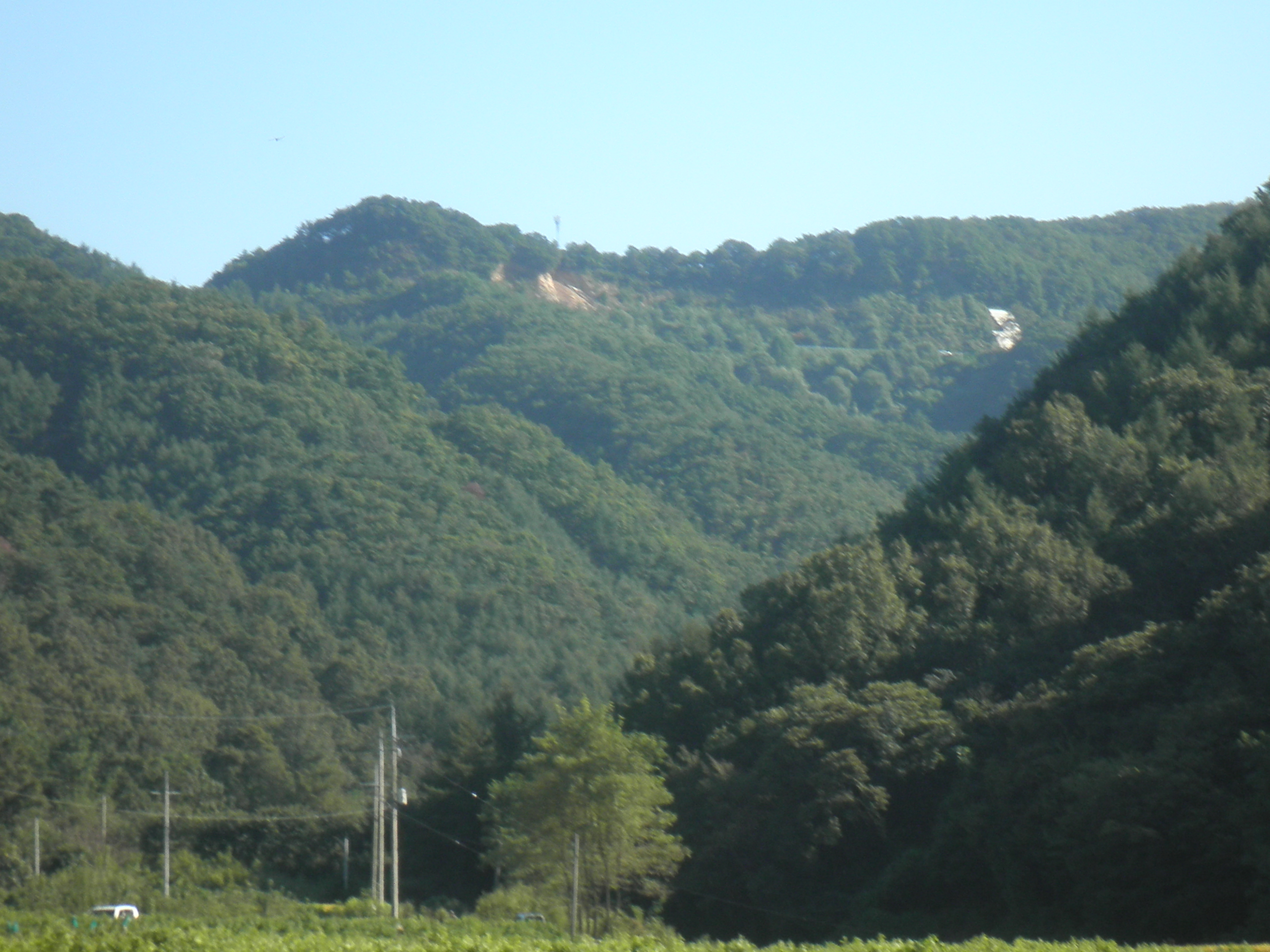 피반령을 바라보면...