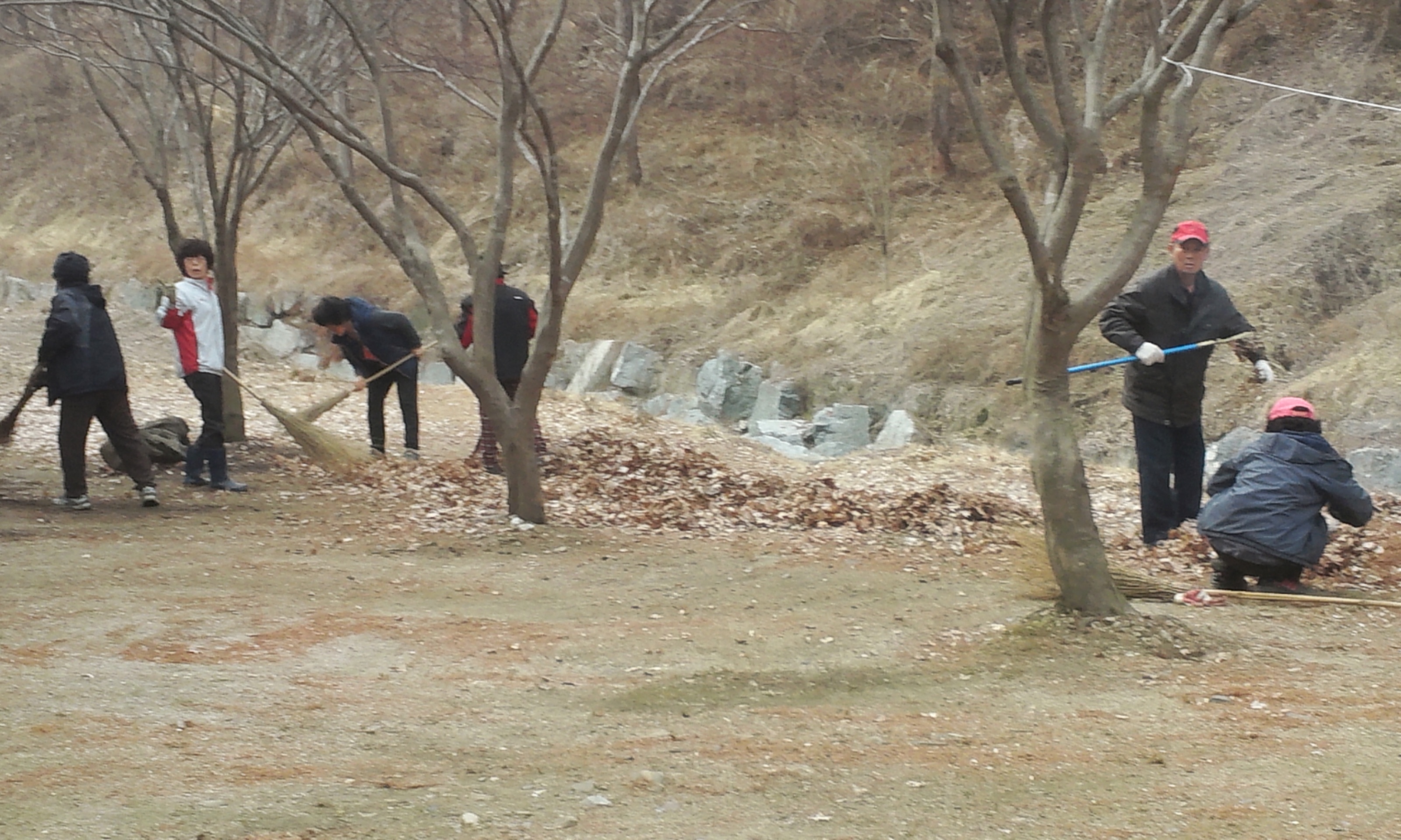 마을 청소하기