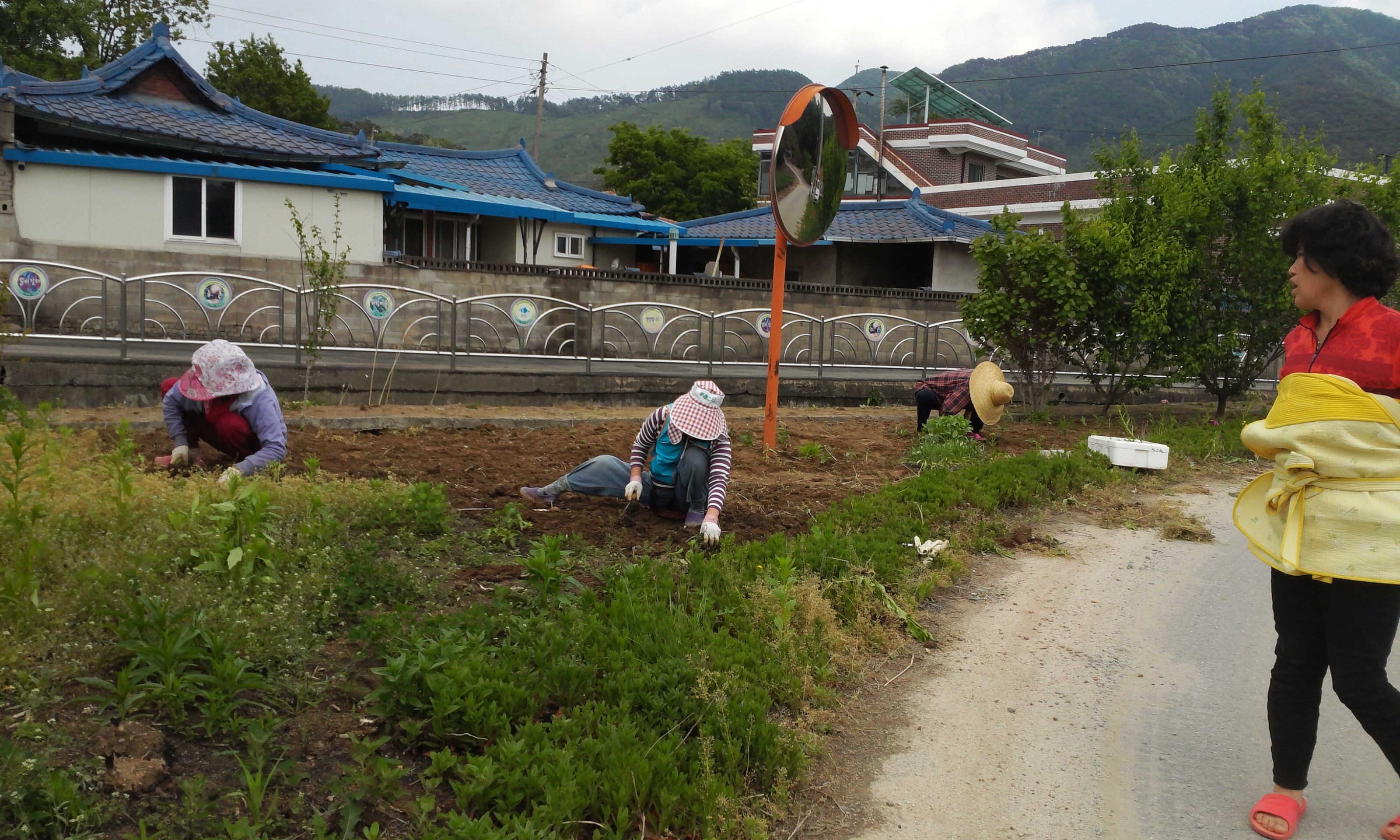 꽃가구기