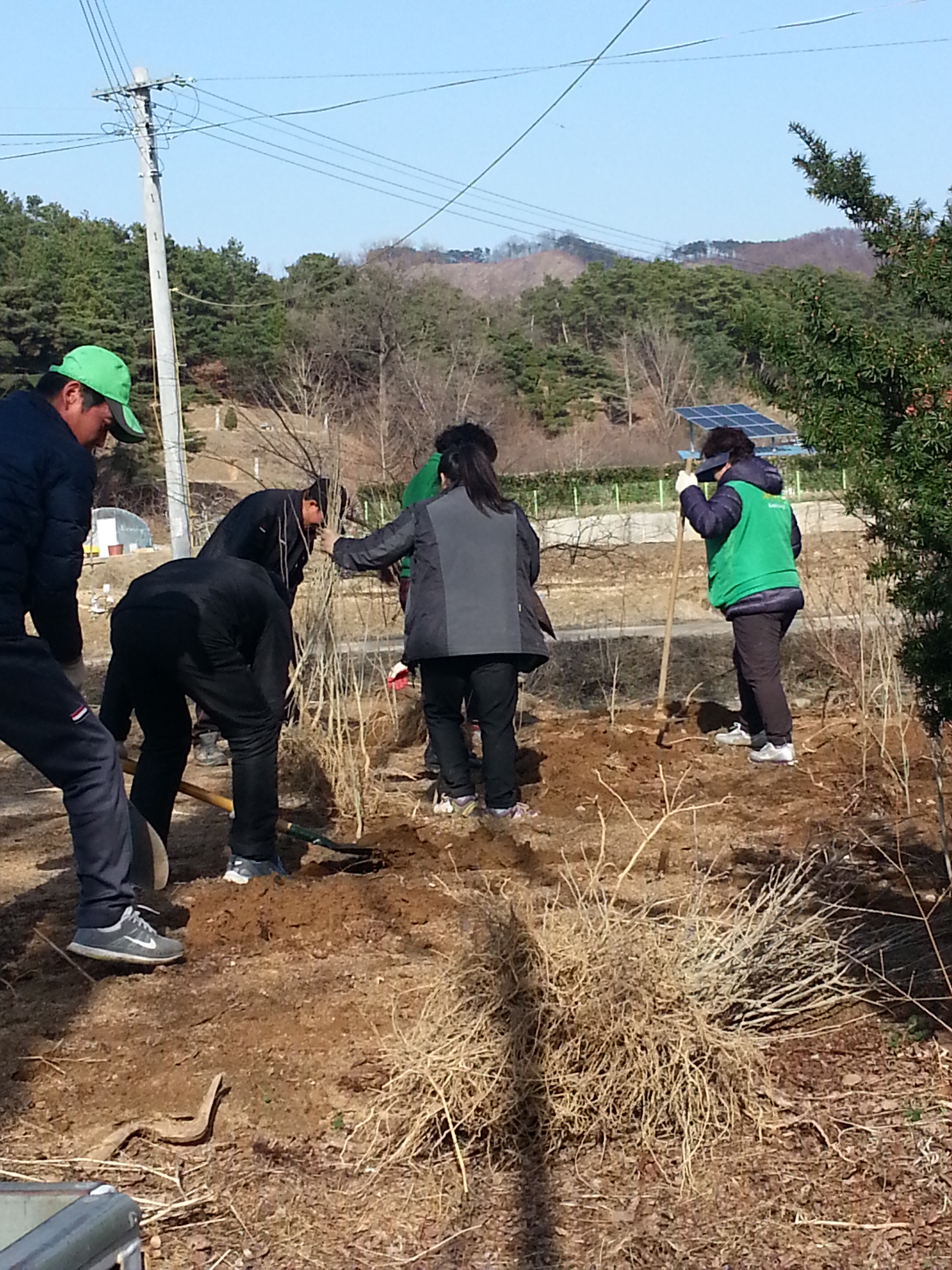 무궁화 심기 행사