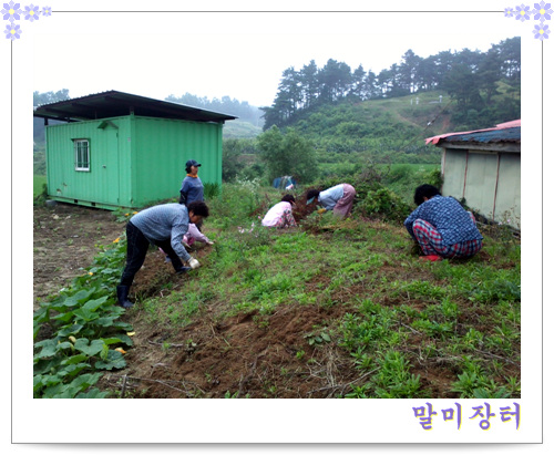 한마음 화단가꾸기